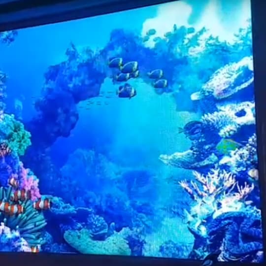 VR虛擬實境水族箱